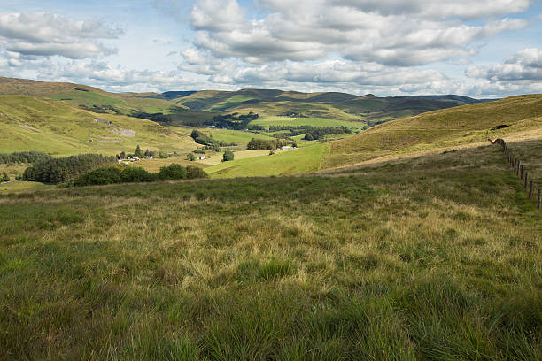 Typical Welsh landscape near Aberystwyth, UK.