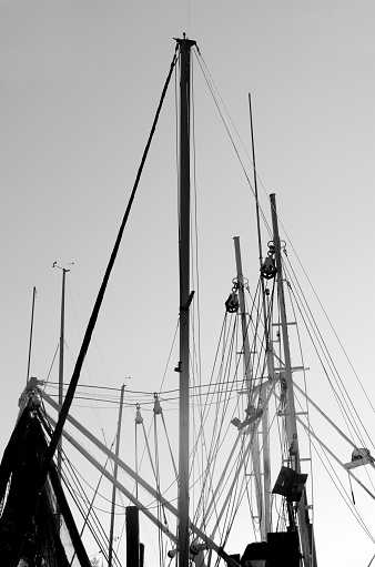 Several ship masts and their riggings are photographed in black and white along the Intercoastal Waterway in North Carolina.