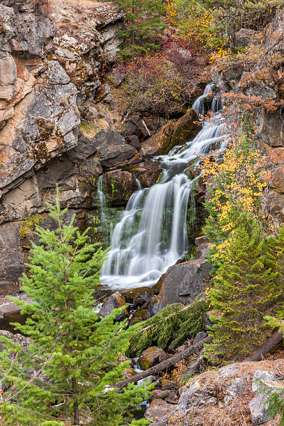 istock Lush waterfalls in Washington. 492105066