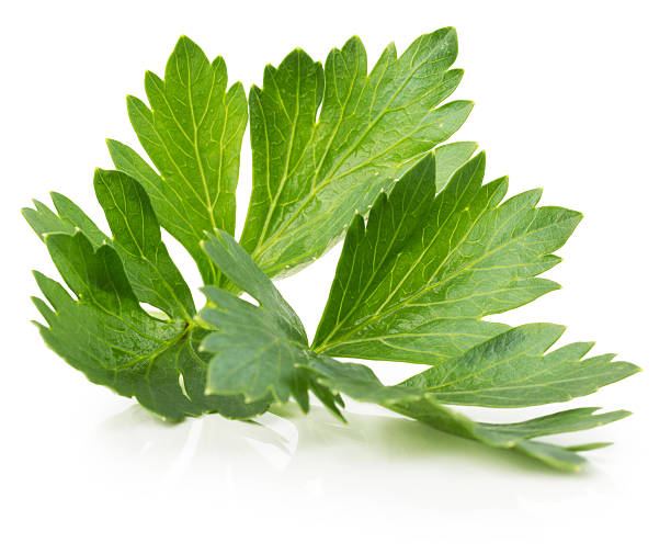 istock celery leaves isolated on the white background 492121036