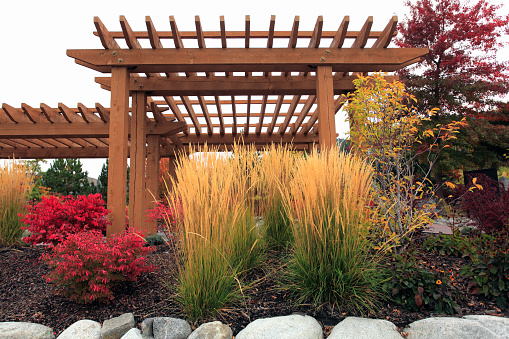 Garden Ideas With Perennials.  Fall Burning Bush,Karl Forester Ornamental Grass, and stones.