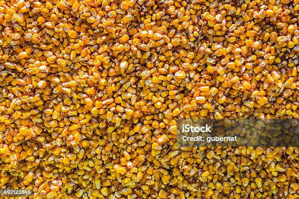 Grain Corn Stock Photo - Download Image Now - 2015, Backgrounds, Cereal Plant