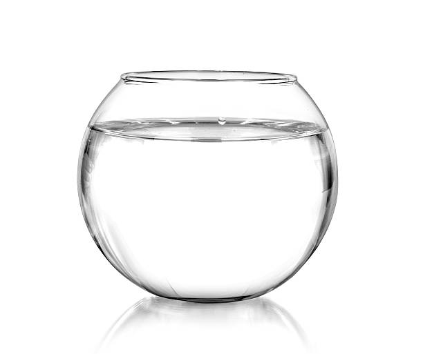 Fish bowl A fish bowl, isolated on white fish tank stock pictures, royalty-free photos & images