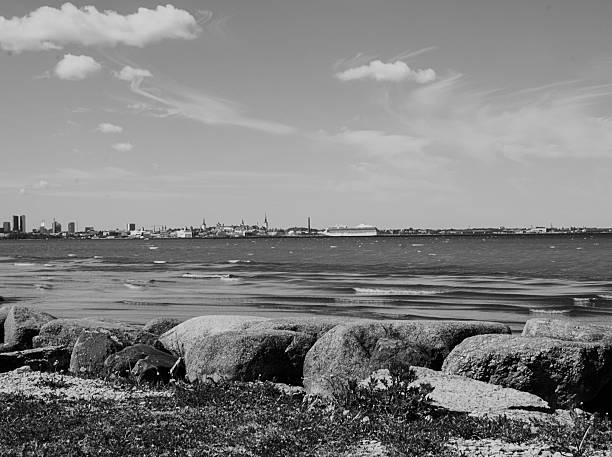 istock The Sea Coast in Tallin 492124794