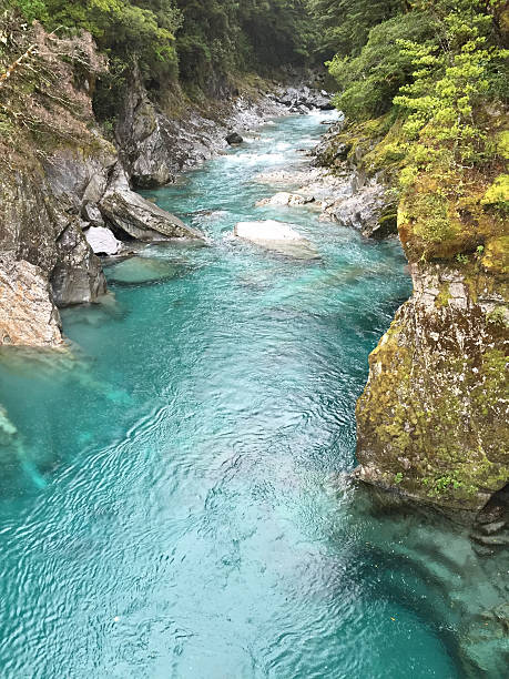 istock River in New Zealand 492127976