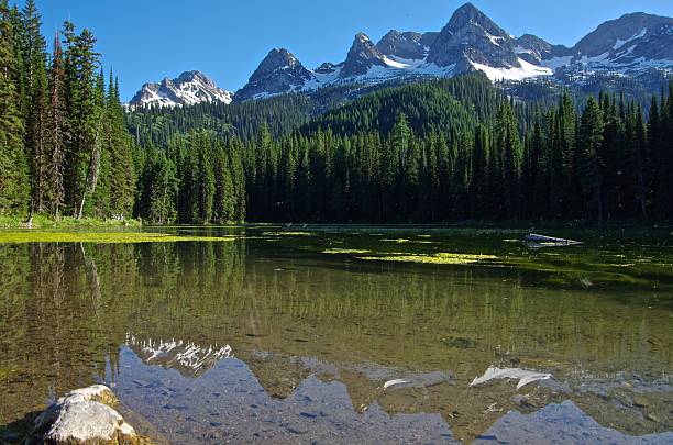 istock Lonesome Lake in the Rockies 492128286
