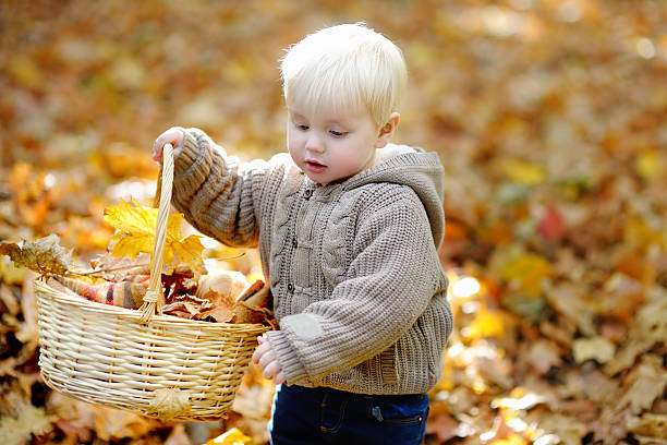 istock Toddler having fun in autumn 492130488