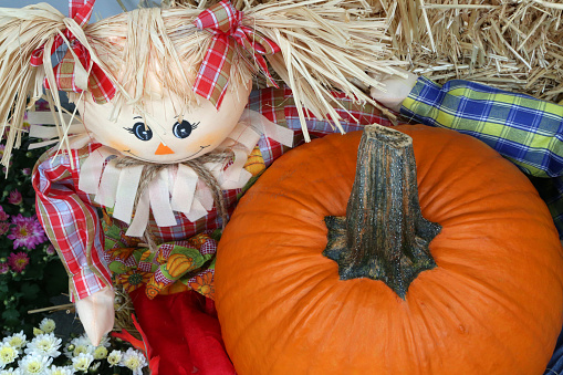 Traditional Halloween decoration with orange pumpkin