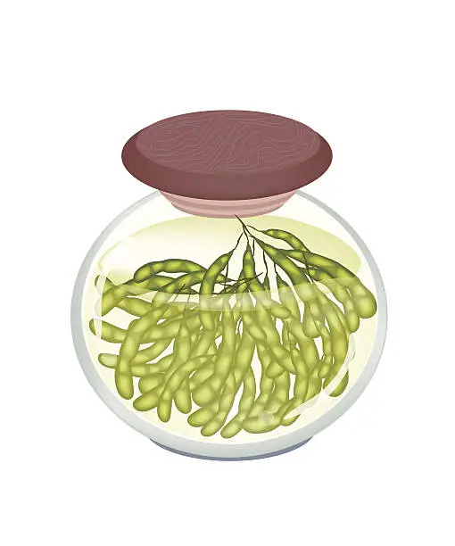 Vector illustration of Jar of Delicious Pickled Green Soybeans