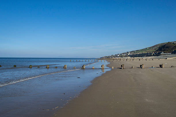 istock Wooden pillars on the beach 492148769