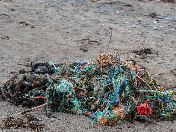 istock Tangle Of Old Rope On The Beach 492148788