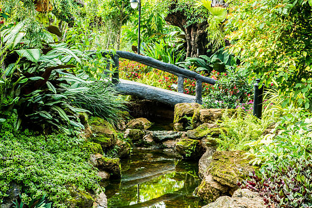 istock flower garden in chiangmai Thailand 492149194