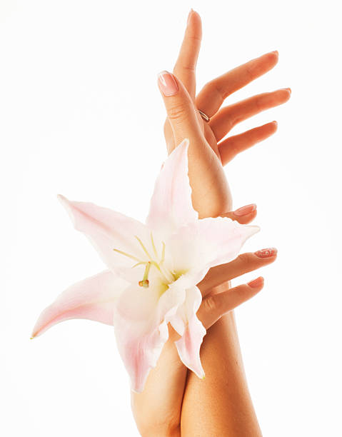 istock beauty delicate hands with manicure holding flower lily close up 492149238