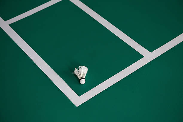 istock used shuttlecock inside the edge of a badminton courts 492151194