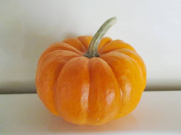 Mini Pumpkin on a White Surface stock photo