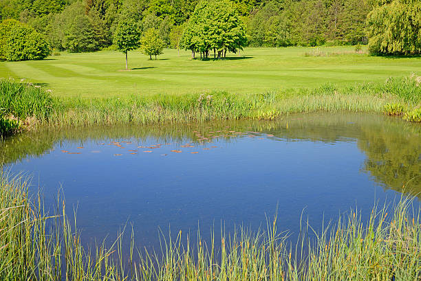 istock Small blue lake in lush green meadow 492151901