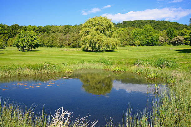 istock Small blue lake in lush green meadow 492151905