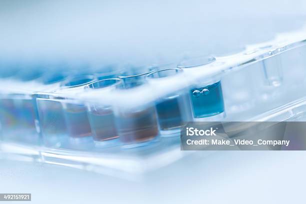 Assay Plate 96 Well With Blue Buffer Stock Photo - Download Image Now - Analyzing, Bench, Biology