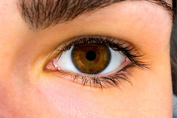 istock Brown eyes of a woman 492151965
