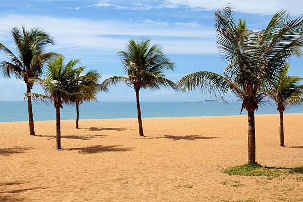 istock Brazil ,beach in Vitoria Espirito Santo 492152001