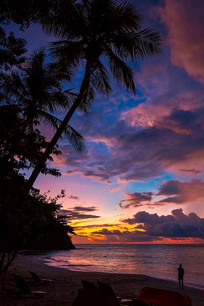 zachód słońca w tropikalnym raju - costa rican sunset zdjęcia i obrazy z banku zdjęć