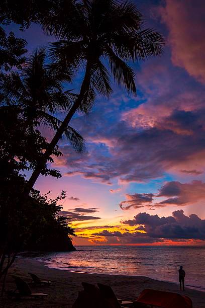 закат �в тропический рай - costa rican sunset стоковые фото и изображения