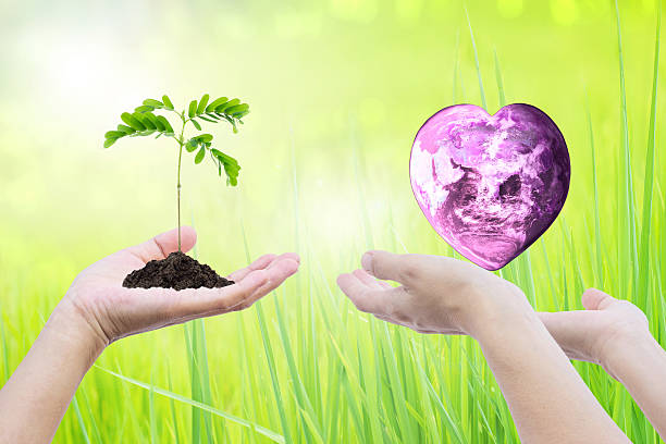 istock Two human hands with tree planting and green globe 492159900