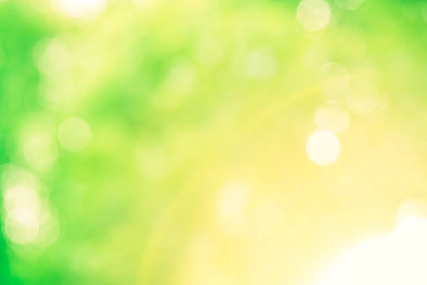 istock Green and yellow glitter sparkle defocused rays lights bokeh 492161202