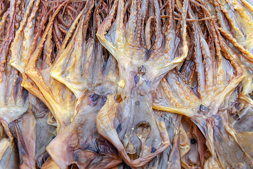 Close-up view of dried octopus legs.Dried octopus inTai O Fishing Village ,Hong Kong ,China