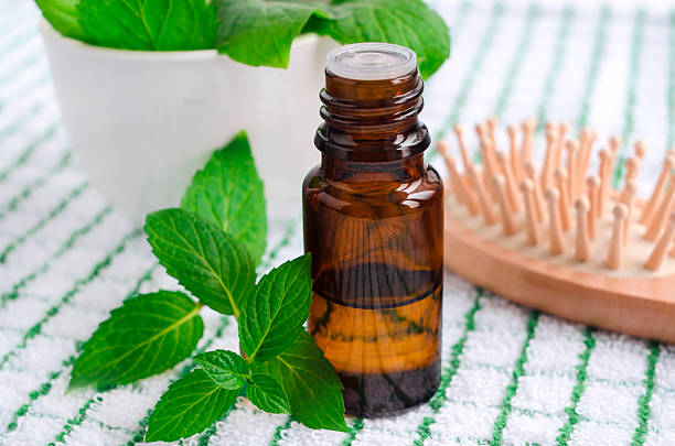 istock Small bottle of essential mint oil 492188456