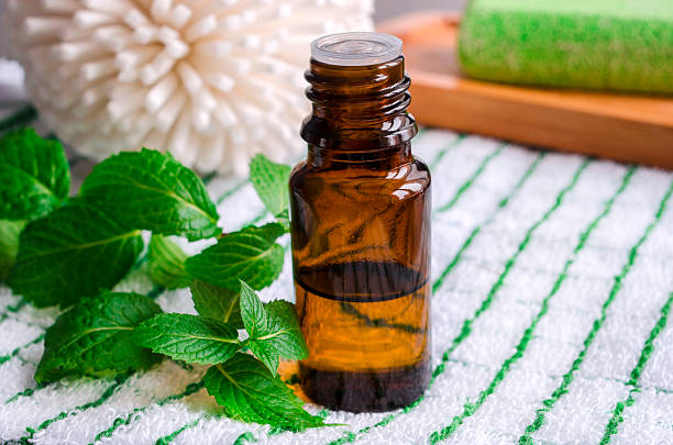 istock Small bottle of essential mint oil 492188710