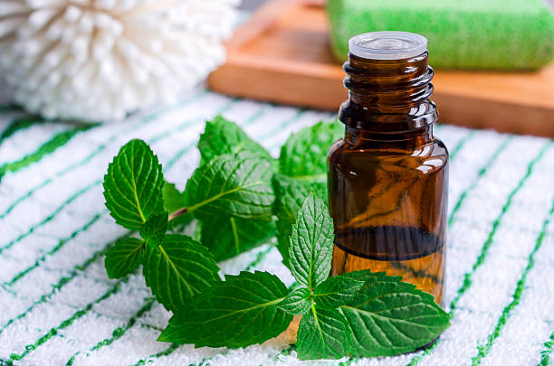 pequeña botella de aceite de menta esencial - mint leaf peppermint green fotografías e imágenes de stock