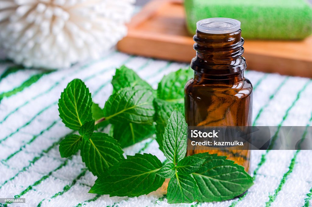 Small bottle of essential mint oil Cooking Oil Stock Photo