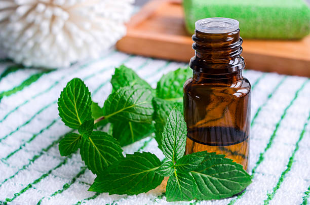 Small bottle of essential mint oil Small bottle of essential mint oil cooking oil stock pictures, royalty-free photos & images