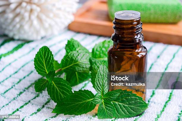 Small Bottle Of Essential Mint Oil Stock Photo - Download Image Now - Cooking Oil, Essential Oil, Mint Leaf - Culinary