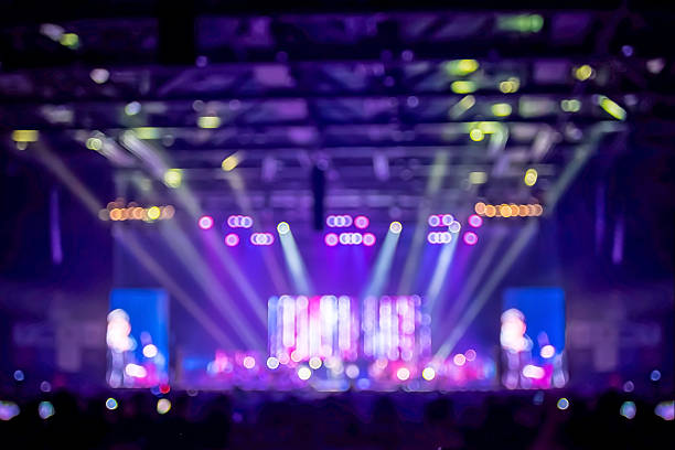 istock Blurred background : Bokeh lighting in concert with audience 492190050