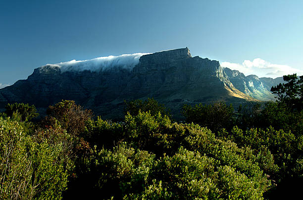 Table Mountain Cape Town stock photo