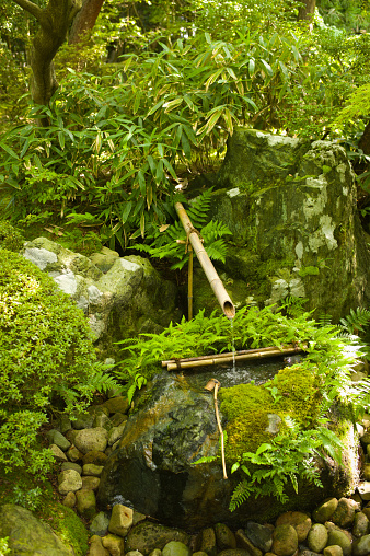 Japanese bamboo fountain