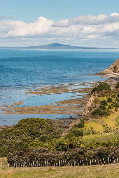istock New Zealand coast at low tide 492191158