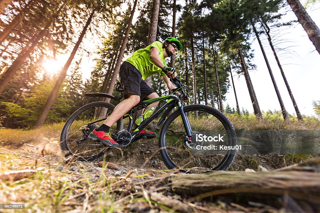 Ciclismo de montaña en el bosque. - Foto de stock de Ciclismo de montaña libre de derechos