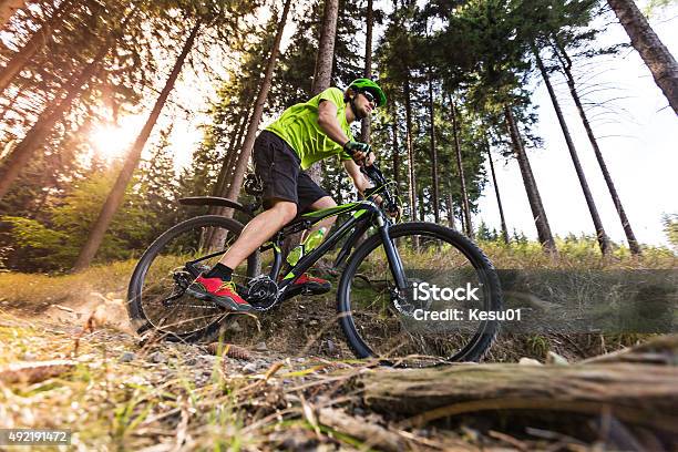 Mountain Biker In Forest Stock Photo - Download Image Now - Mountain Biking, Mountain Bike, Dirt Road