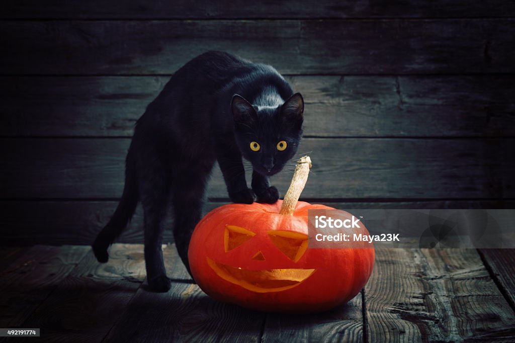 Black Cat Icon Stock Illustration - Download Image Now - Domestic Cat,  Spooky, Horror - iStock