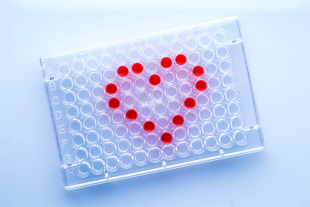 prueba médica-corazón - microarray fotografías e imágenes de stock