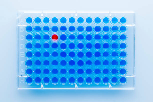 positivo prueba médica - microplate fotografías e imágenes de stock