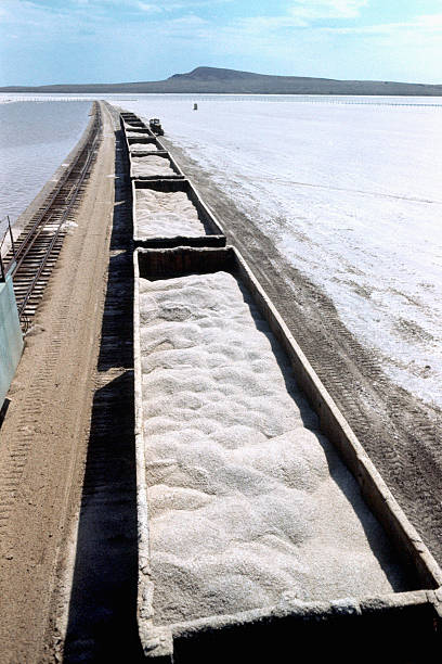 Wagons with salt (NaCl) on the lake Baskunchak . stock photo