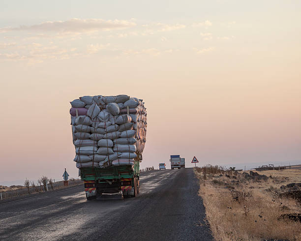 istock Truck under heavy weight on the road during sunset. 492195956