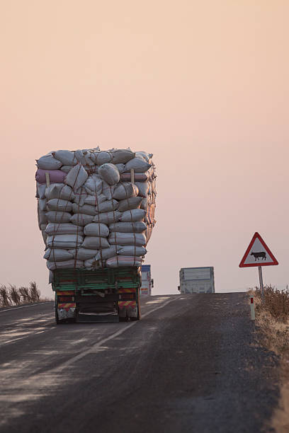 istock Truck under heavy weight on the road during sunset. 492195992