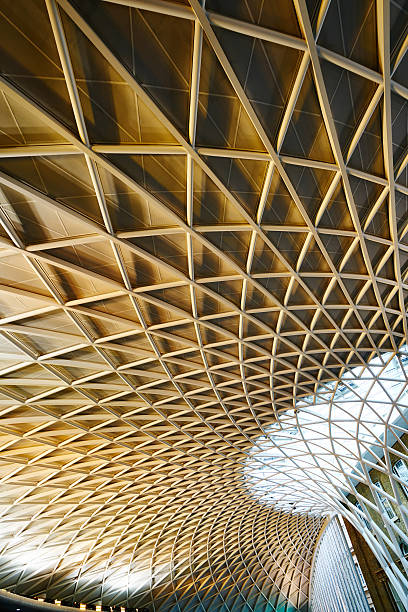 istock Kings X roof portrait 492197006