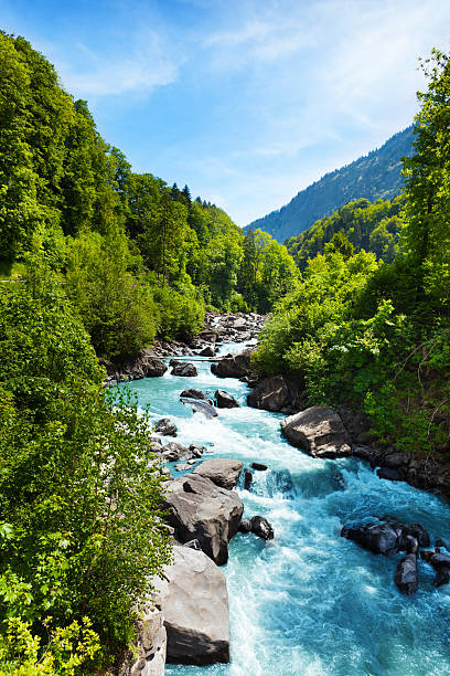 vivid schweizer landschaft mit reinem river stream - air vertical outdoors nature stock-fotos und bilder