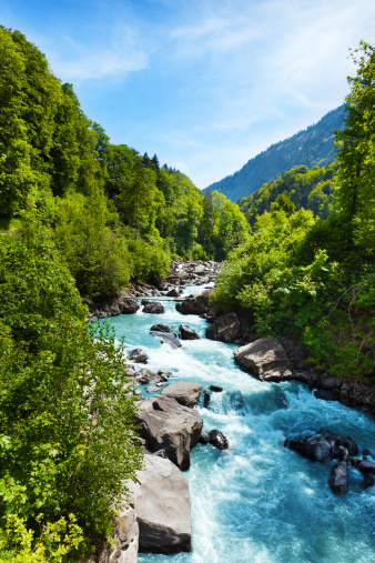 Vivid landscape with  pure river stream with trees near Alps, Switzerland